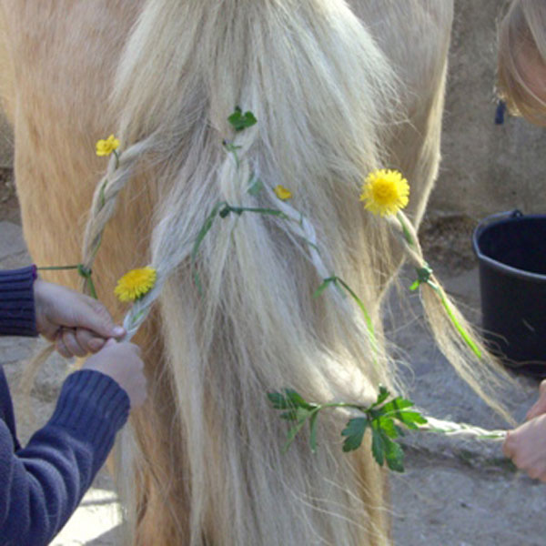 Ferienbetreuung Reutlingen Reiten